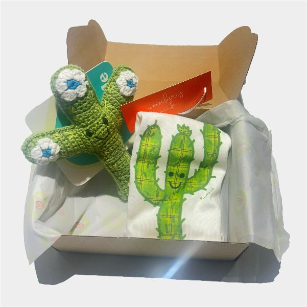 Cactus - New Baby Gift Box