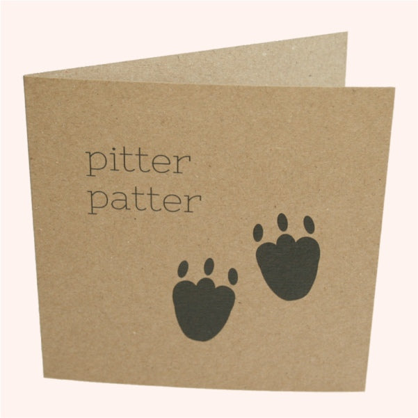 Diplodocus - New Baby Gift Box