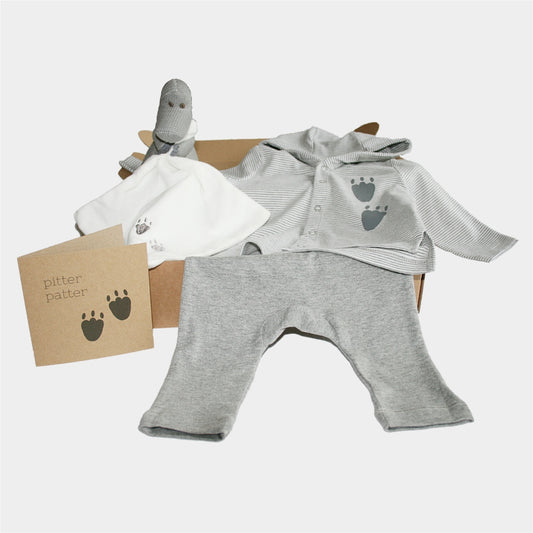Diplodocus baby gift box with striped hoodie, leggings, dino comfort toy, and card