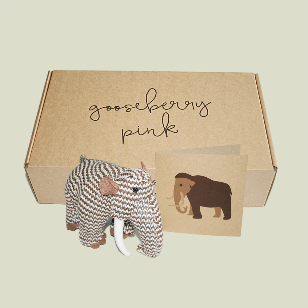 Mocha and natural baby boy outfit with mammoth toy in eco gift packaging